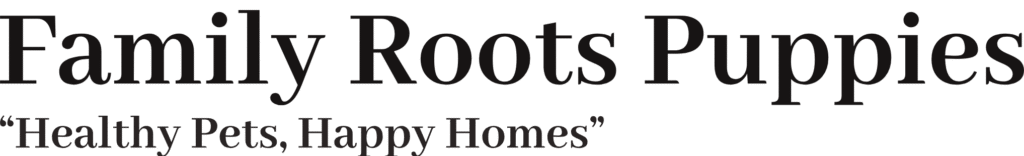 pink gene fluffy frenchie