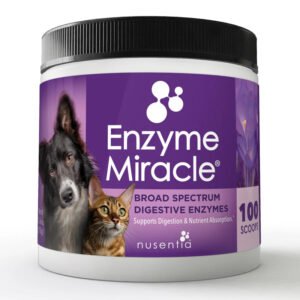 Digestive Enzyme Boost – Nutrient Absorption Formula
