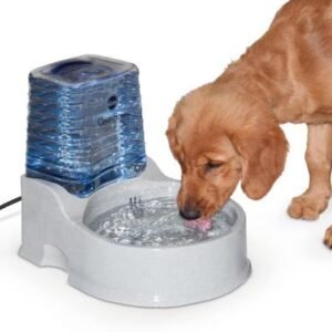 HydraFlow Water Fountain – Continuous Fresh Water