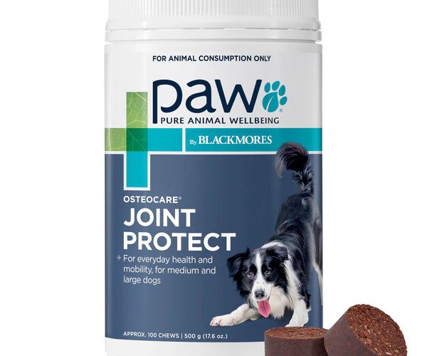 Osteo Guard – Joint Protection & Anti-Inflammatory Formula