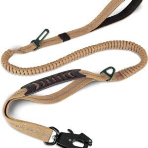 Urban Walk Leash – Shock-Absorbing Control